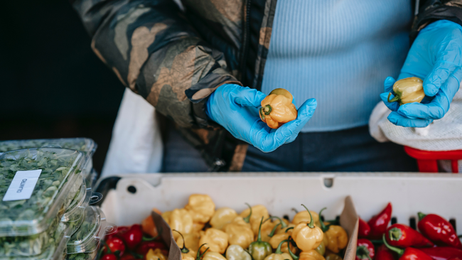 Someone holding vegetables and a bin of vegetables.